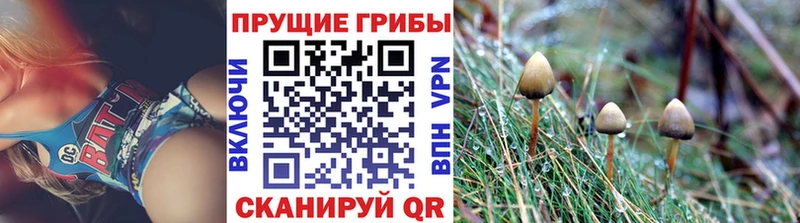 Псилоцибиновые грибы прущие грибы  Валуйки 